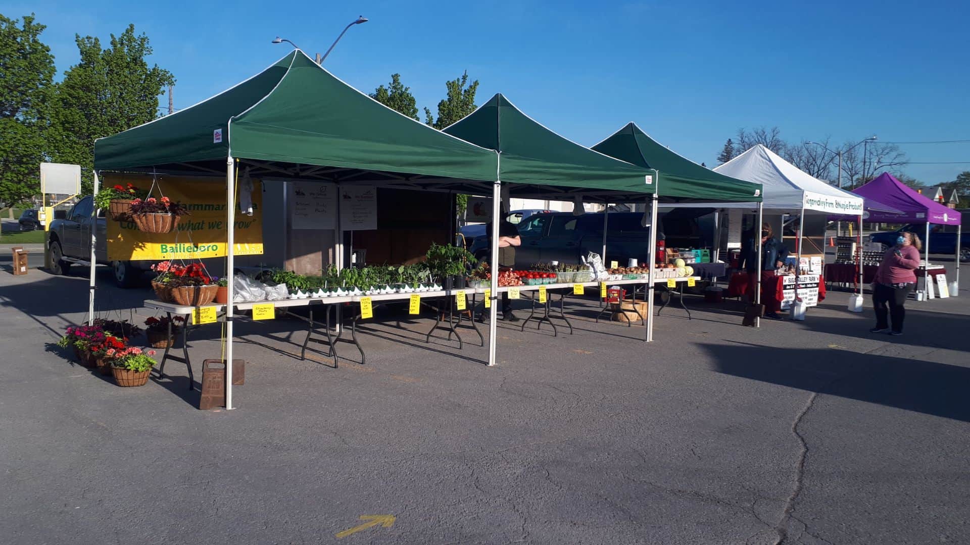 Season Calendar Johnston’s Farm Market