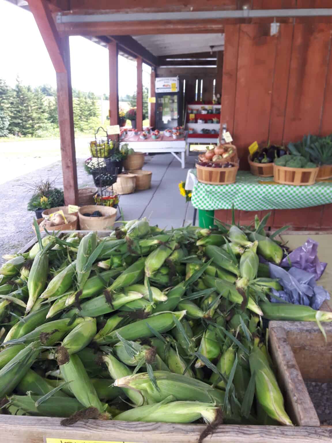 Johnston’s Farm Market Fresh Produce, Greenhouse and Maple Syrup